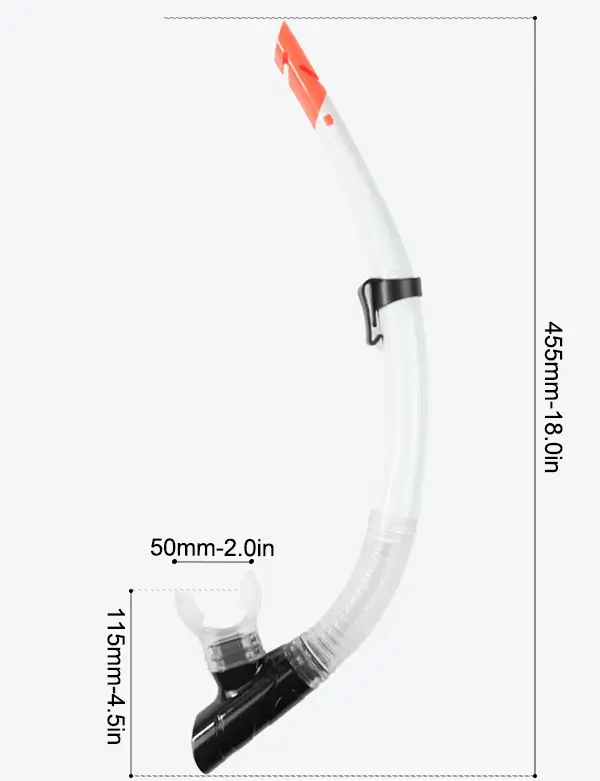 SN67 Best Snorkel Size