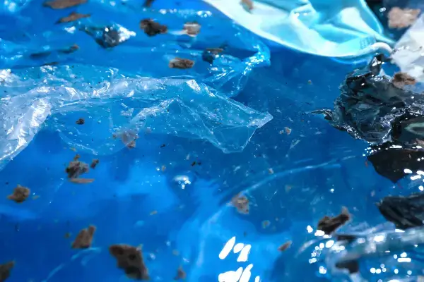 Protecting the oceans